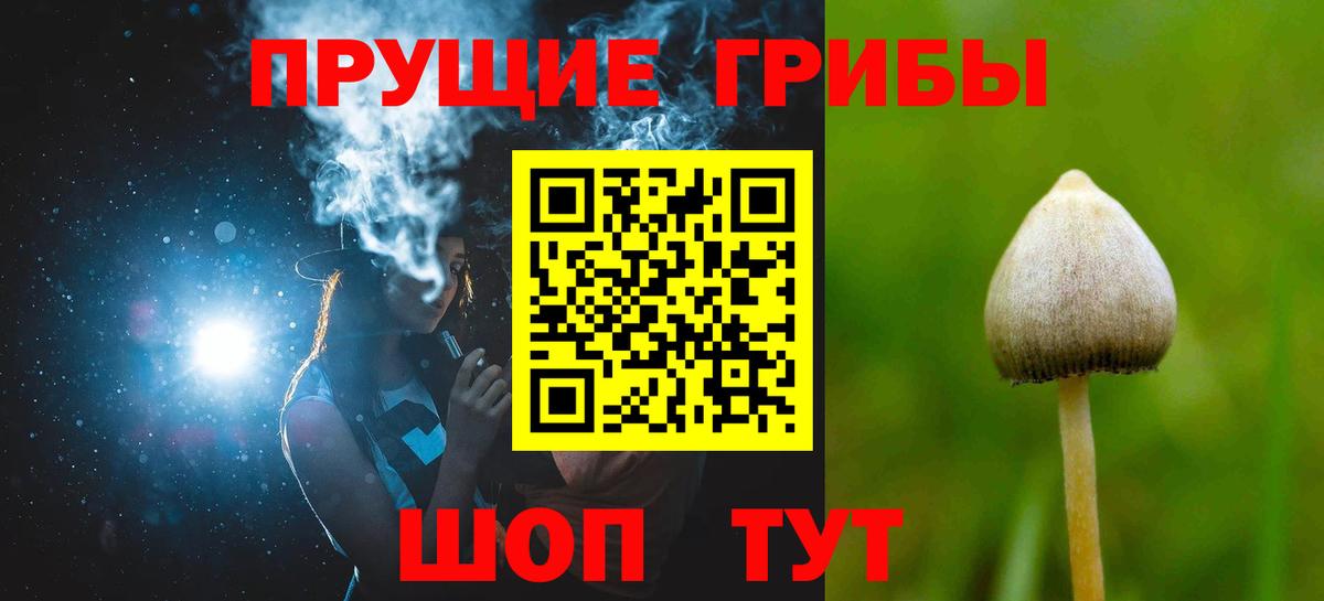 Галлюциногенные грибы мицелий  Вход с VPN  Туапсе 